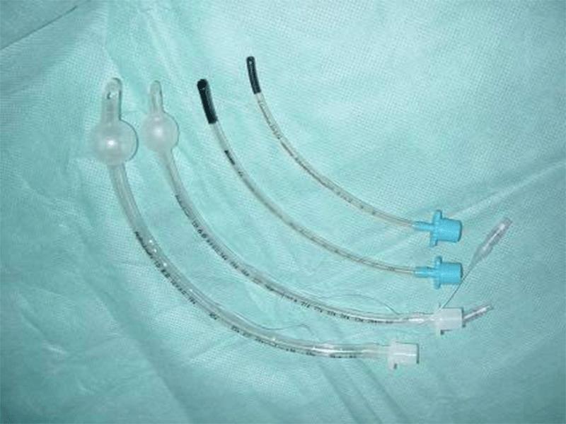 תמונה 1 תמונה 1